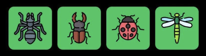 FLIES Daily Combo 26 April 2025